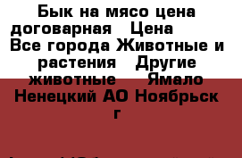 Бык на мясо цена договарная › Цена ­ 300 - Все города Животные и растения » Другие животные   . Ямало-Ненецкий АО,Ноябрьск г.